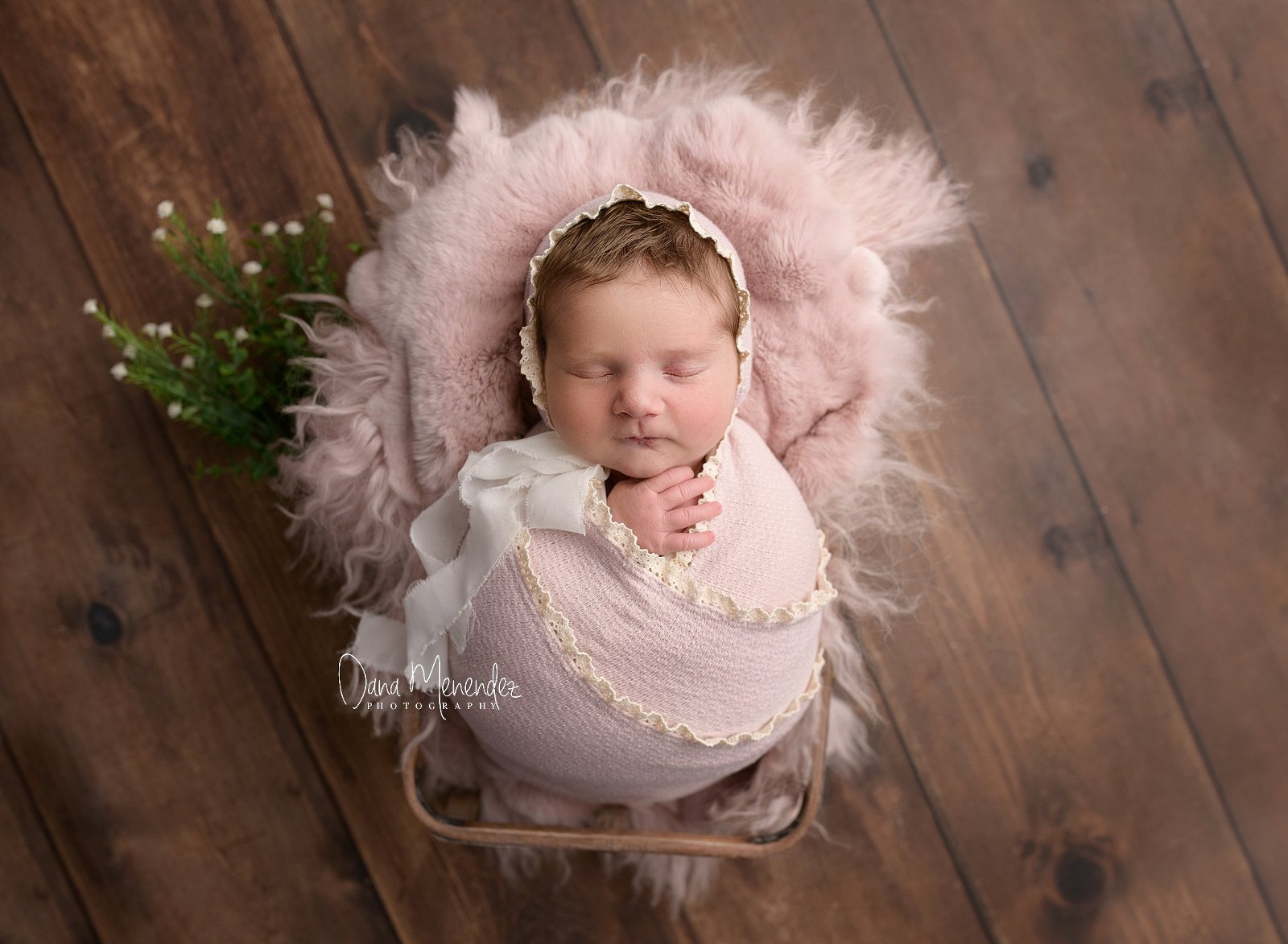 calgary newborn photographer