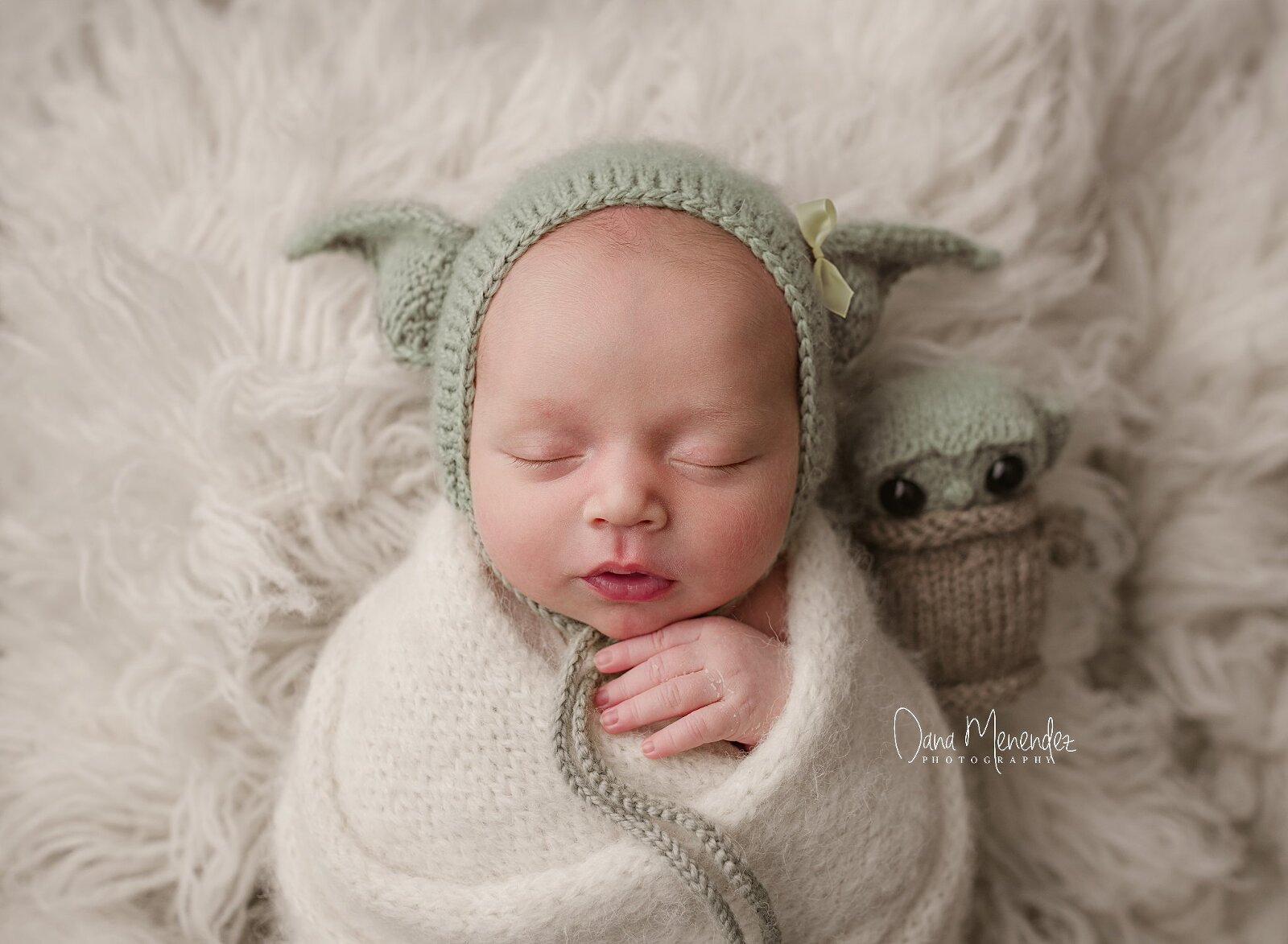 okotoks newborn photographer