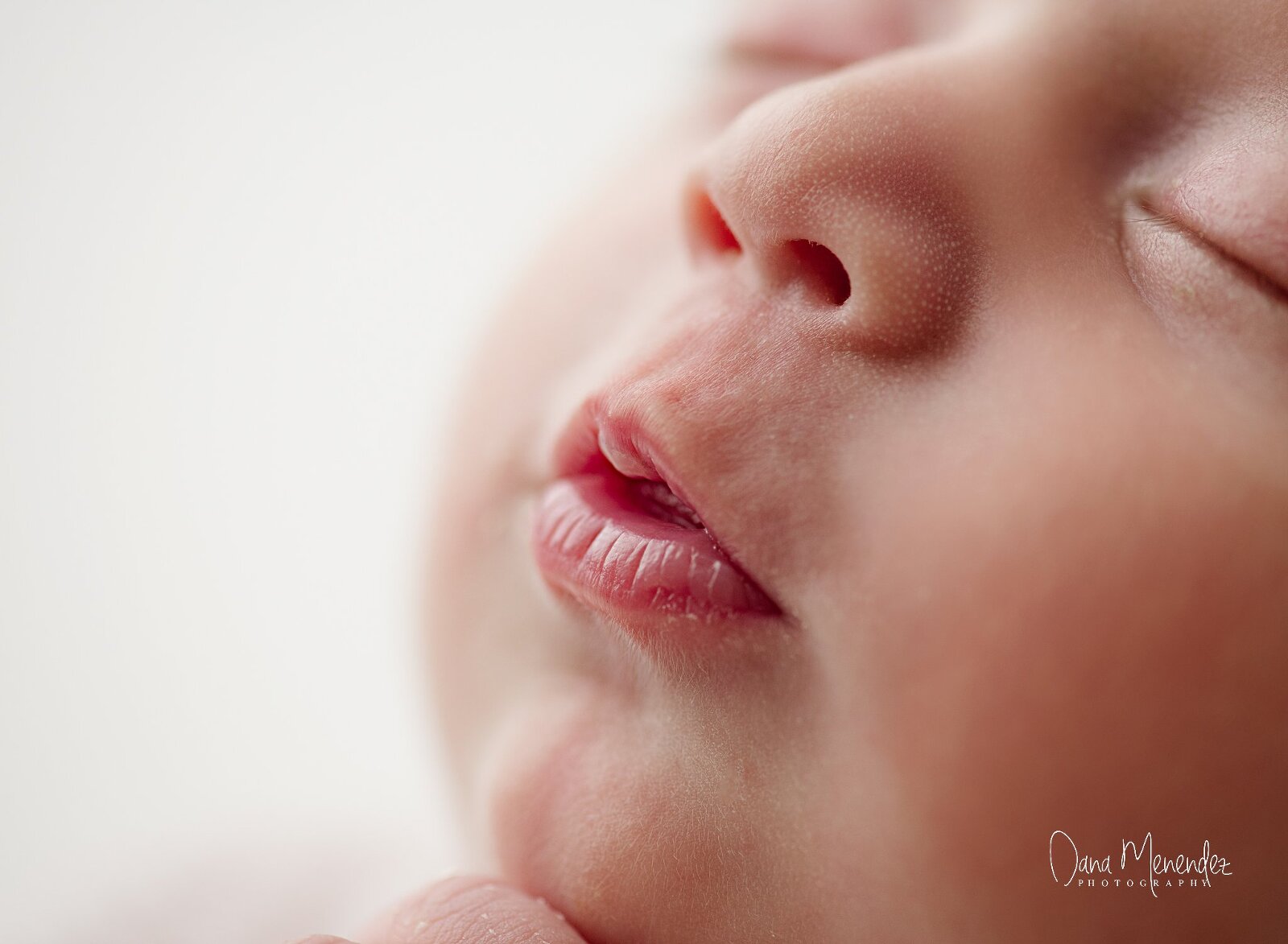 okotoks newborn photographer